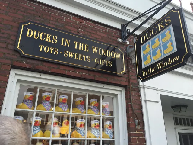 Ducks In The Window