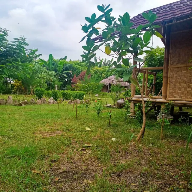 Kaliantan Paradise Bungalow