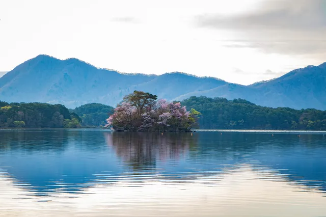 Sakurajima Island (Cherry Blossom Island)