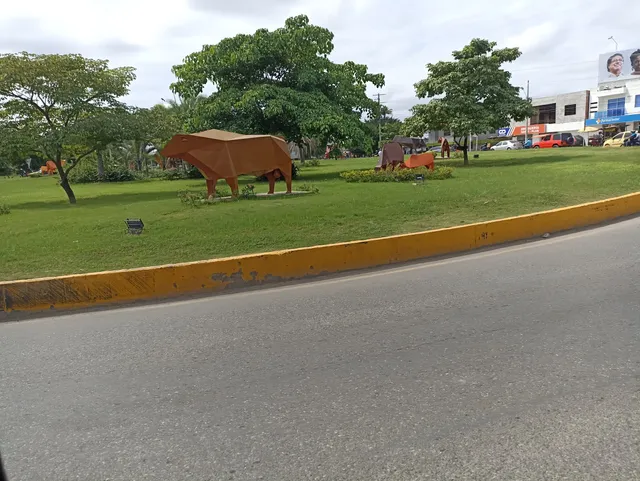 photo-3
