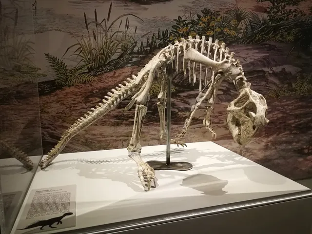 Museo de Ciencias Naturales de la Universidad de Zaragoza