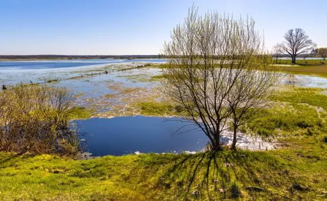 RSPB Valley Wetlands