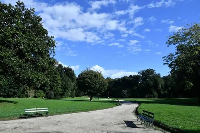 photo-2