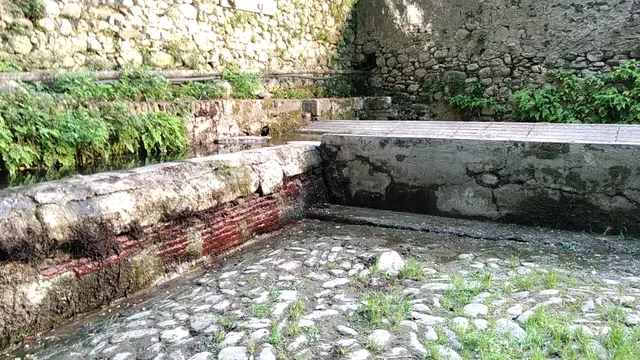 photo-1