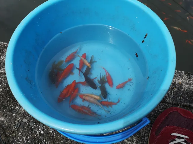 トガミツリボリセンター