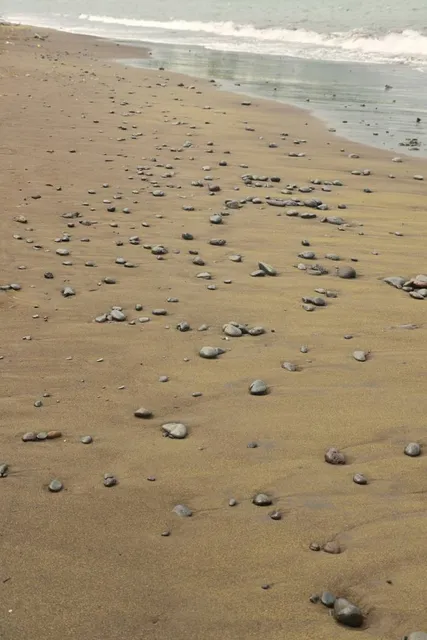 Hilo Bayfront Beach Park
