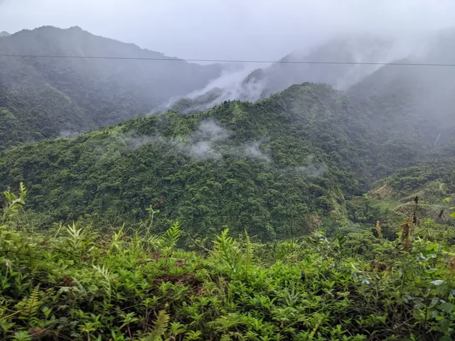 Tahiti Safari Expedition