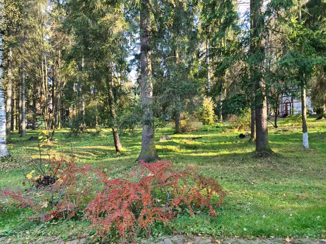 photo-1