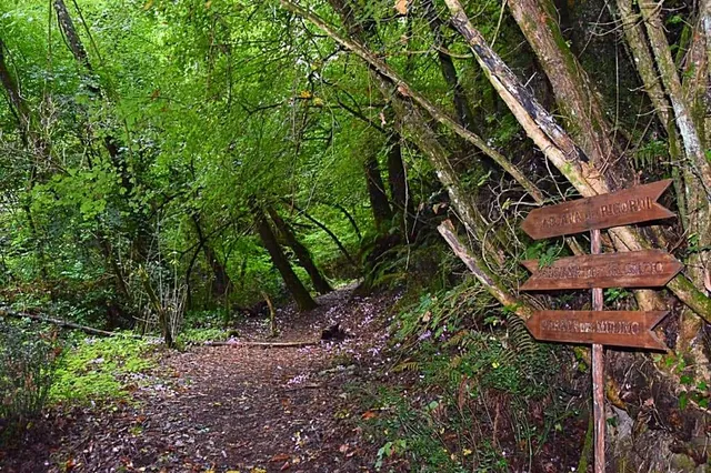 Conca della Campania