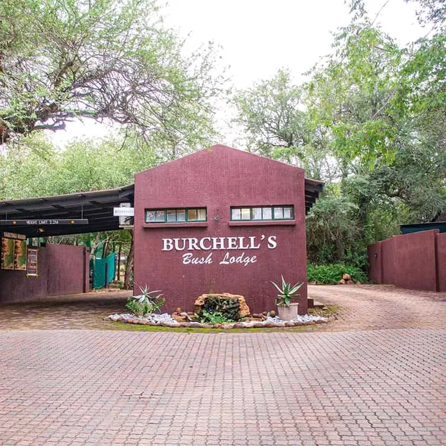Burchell's Bush Lodge
