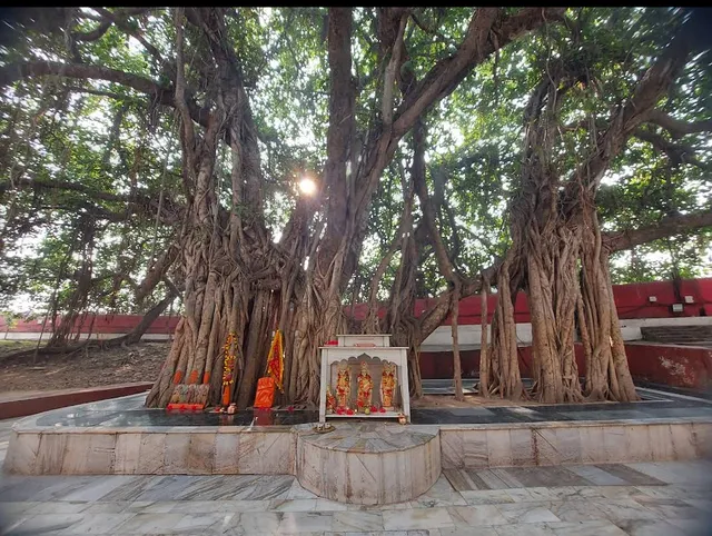 Akshayavat, Prayagraj