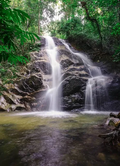 Taman Eko Rimba Kanching by Tourism Selangor