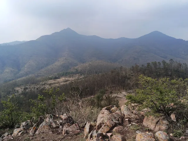 Ave María Auxiliadora