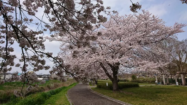 Takada Ryokuchi Park