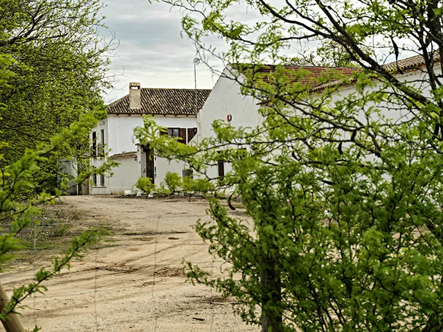 TINEDO Bodega y Viñedo / Winery and Vineyard