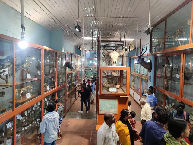 Sacred Heart College Museum