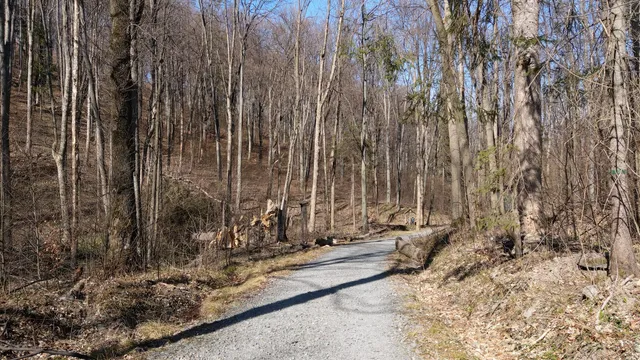 Silent Valley Nature Reserve