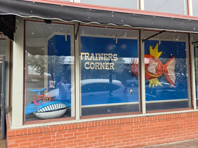 Trainers Corner Llc