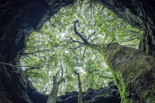 Gruta das Torres lava tube
