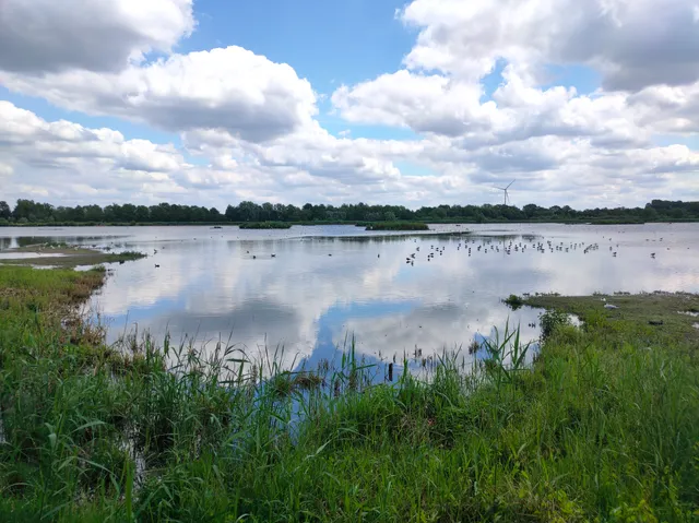 Vogelschutzgebiet 'Rieselfelder Münster'