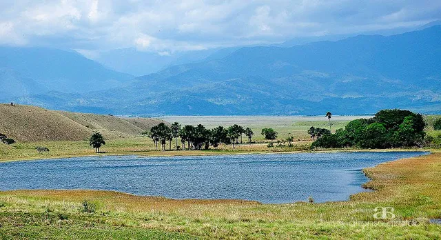 place image