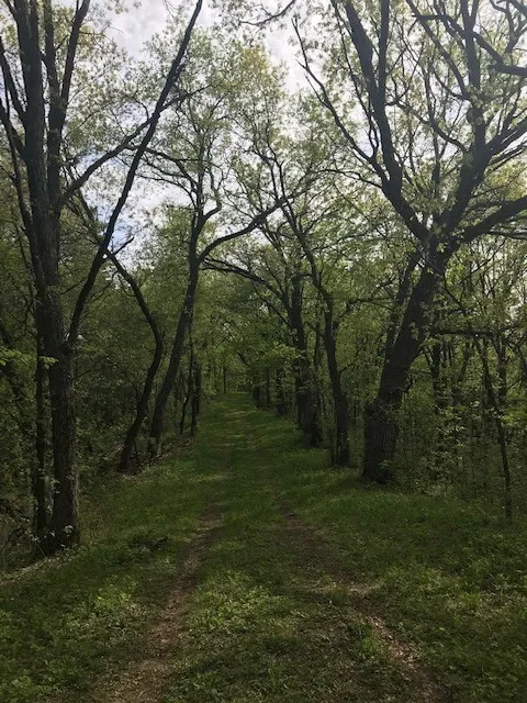 Kettle Moraine State Forest Southern Unit Headquarters