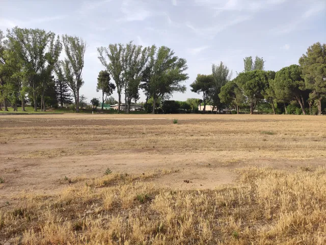 Parque Territorial Alcalde Pons - Las Balsas