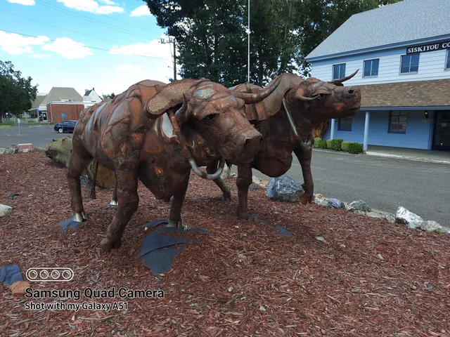Siskiyou County Museum