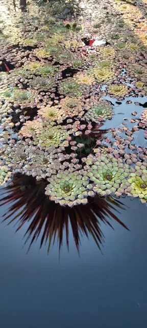Denver Botanic Gardens