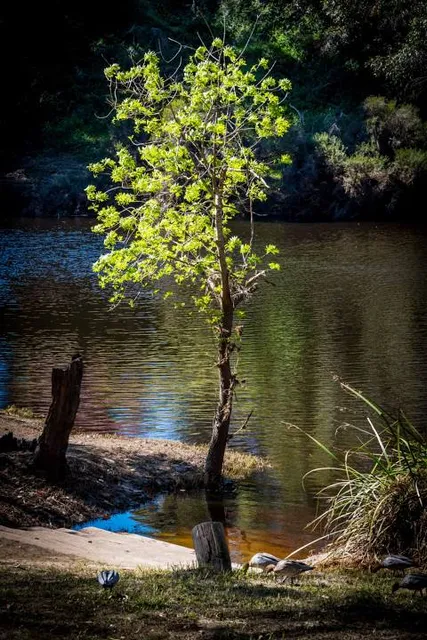 Blackwood River Park