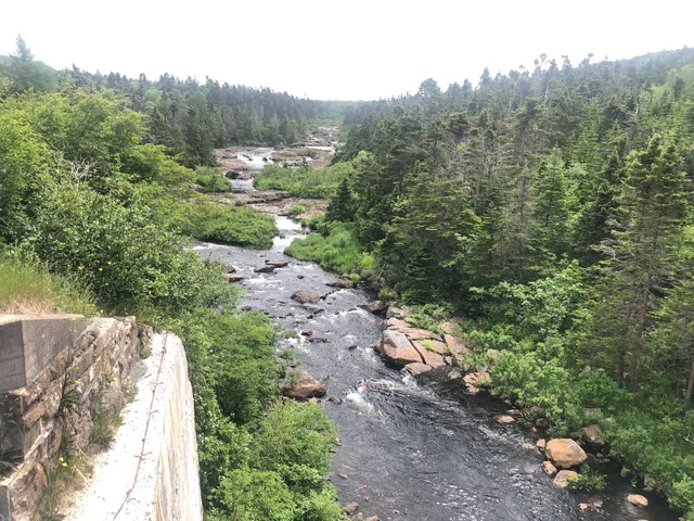 Discover Manuels River Trails