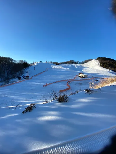 Swiss Village Ski Resort