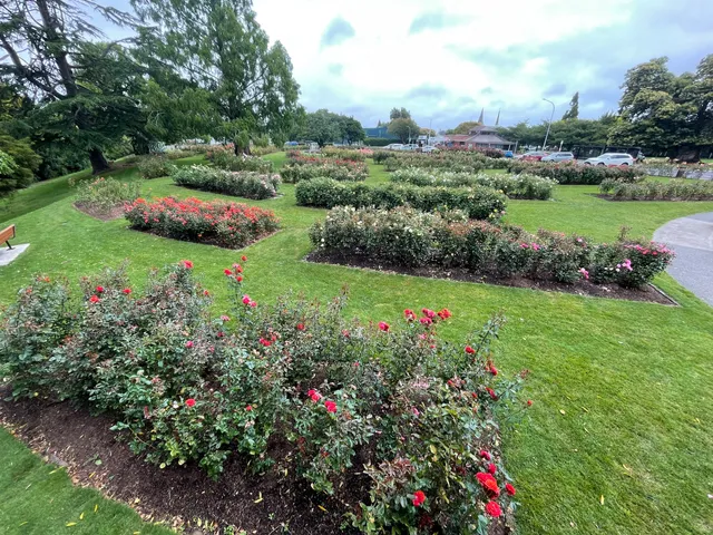Te Awamutu Rose Garden