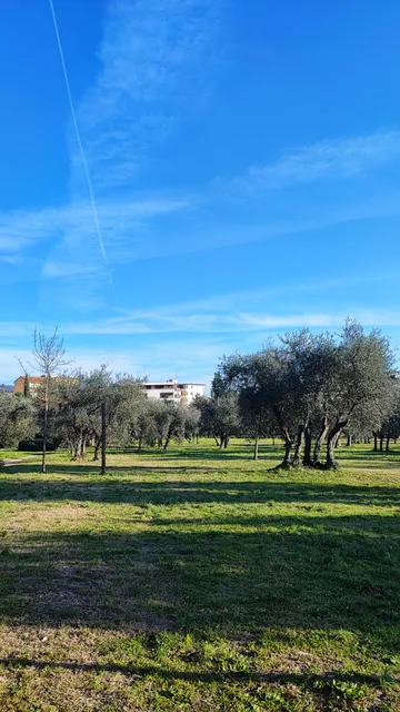 Parco dell 'Oliveta