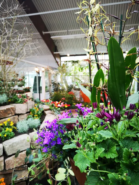 Blumenhalle & Gartenpark Wiesmoor