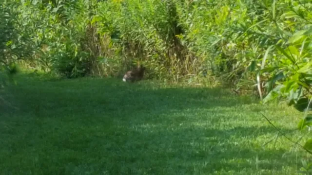 Millers River Environmental Center
