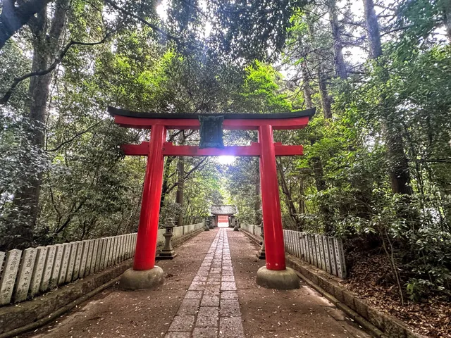 Wakinimasu Amenofukime Jinja (Wakidenomiya)