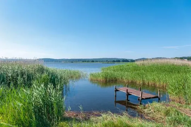 Selliner See