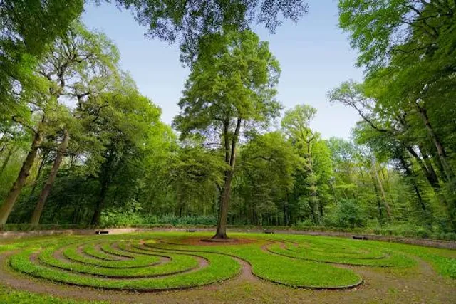 Eilenriede City Forest