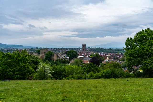 Whitcliffe Common Nature Reserve