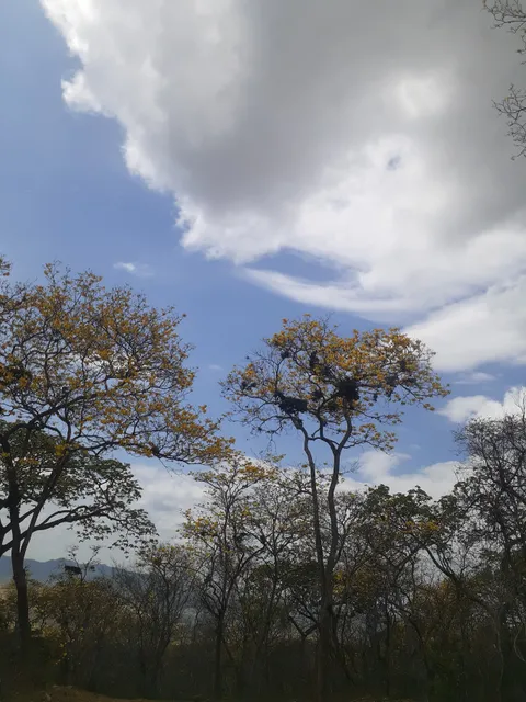 Parque Nacional Cerros de Amotape