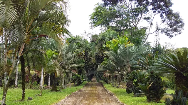 Parque Botanico La Carolina