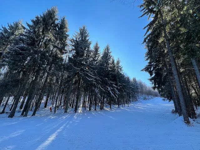 Ски писта „Горското“