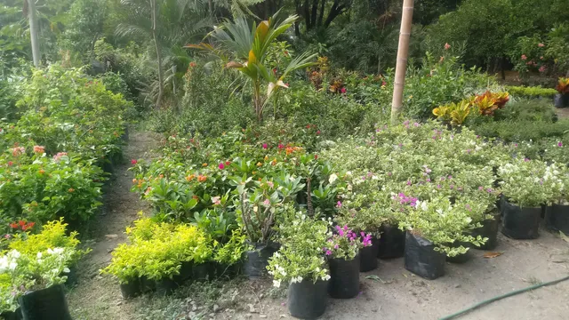 photo-3