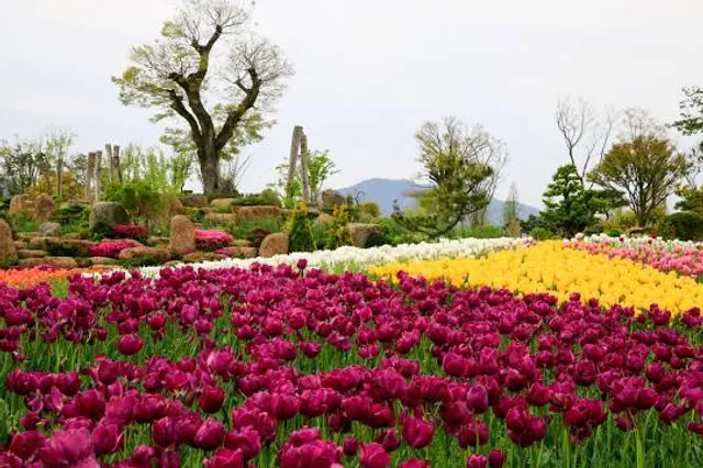 Suncheon Bay National Garden