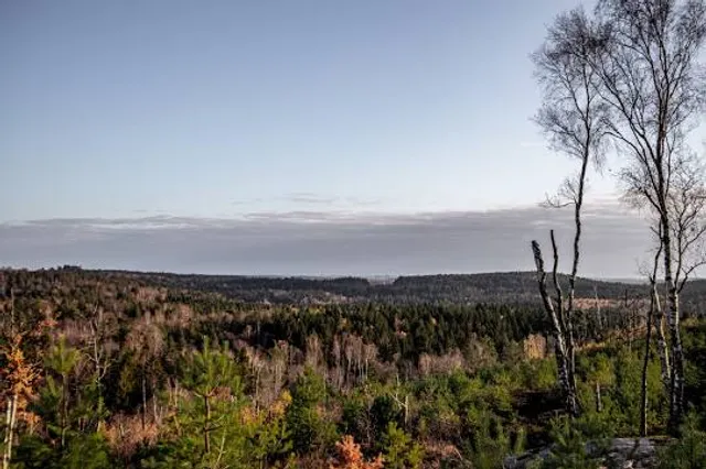 Delsjöområdets naturreservat