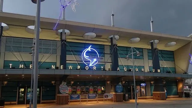 Newport Aquarium