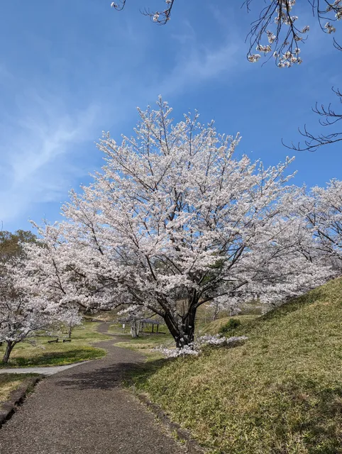 Niizawa Senzuka Ancient Tombs Park