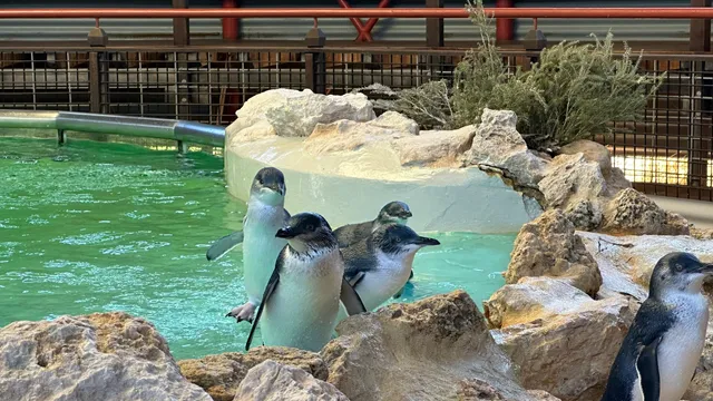 Penguin Island Discovery Centre