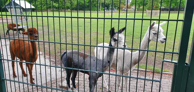 De Warande - Dierenparken Helmond